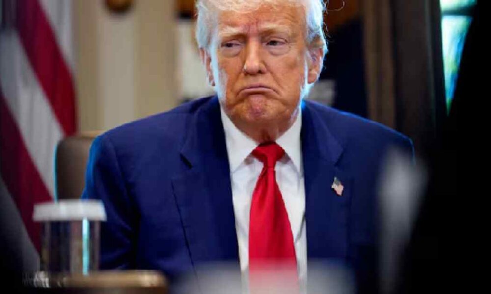 মার্কিন অর্থনীতিবিদ রিচার্ড উলফ আমেরিকাকে ইঁদুর আর ভারতকে হাতির সঙ্গে তুলনা করলেন। তাঁর মতে, ট্রাম্পের ট্যারিফ নীতি ব্রিকসকে আরও শক্তিশালী করছে।